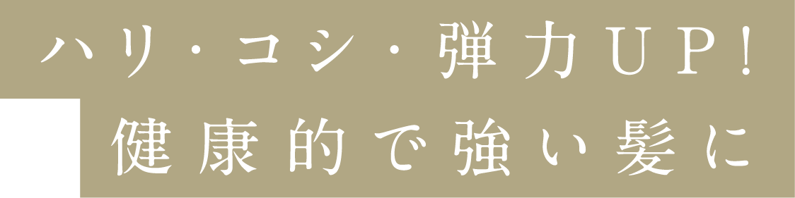 ハリ・コシ・弾力UP！健康的で強い髪に