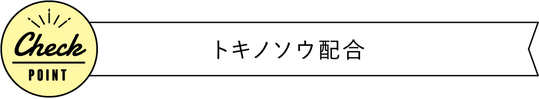 トキノソウ配合