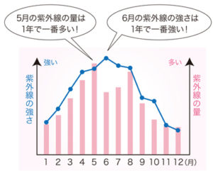 紫外線