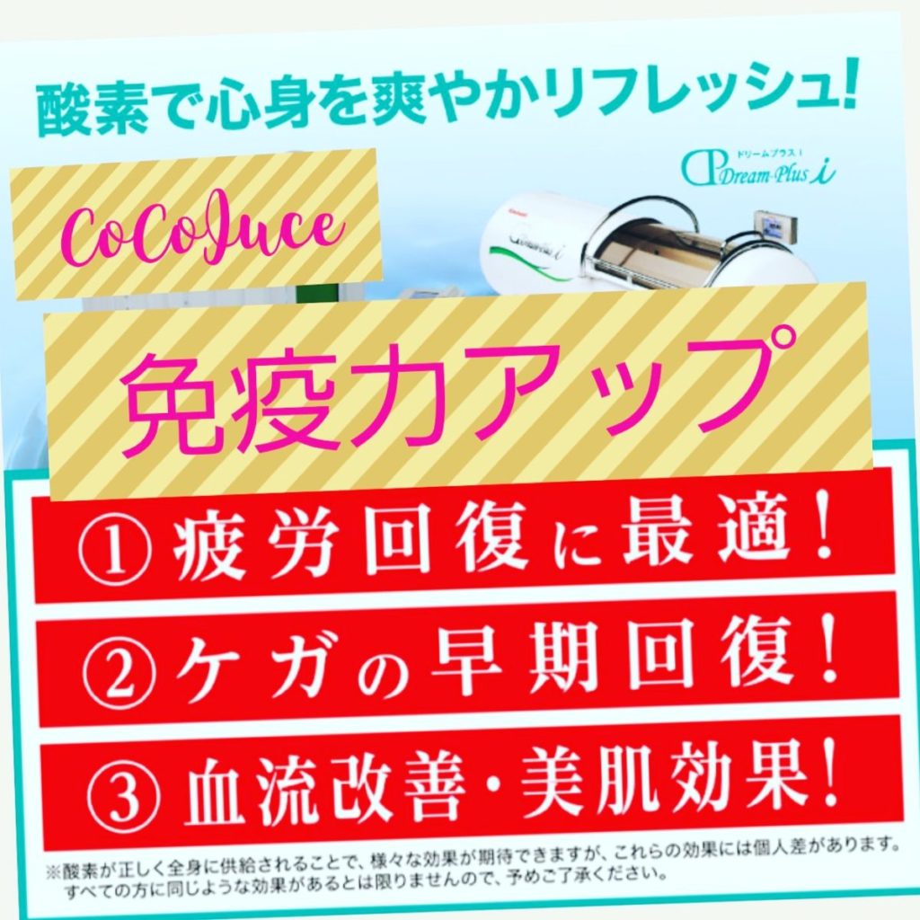 速達メール便 血流改善免疫力アップ 高濃度酸素バー Oxy Z 高血圧も改善 無条件 特別価格