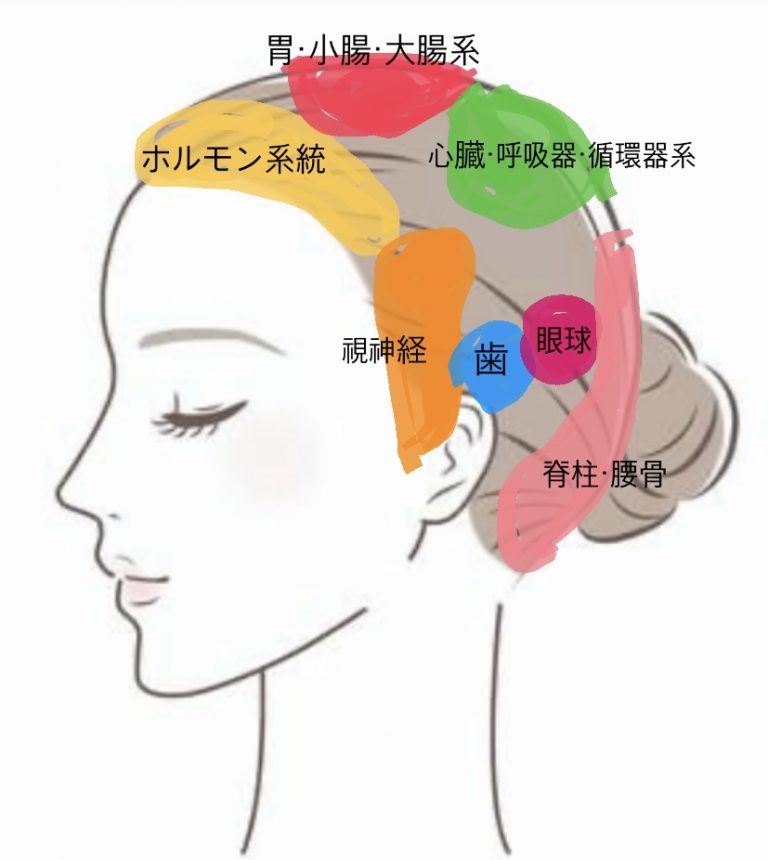 白髪の生える場所