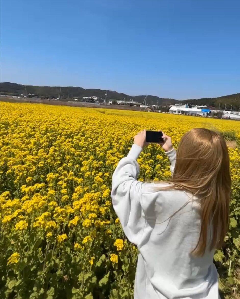 藤木　日菜乃