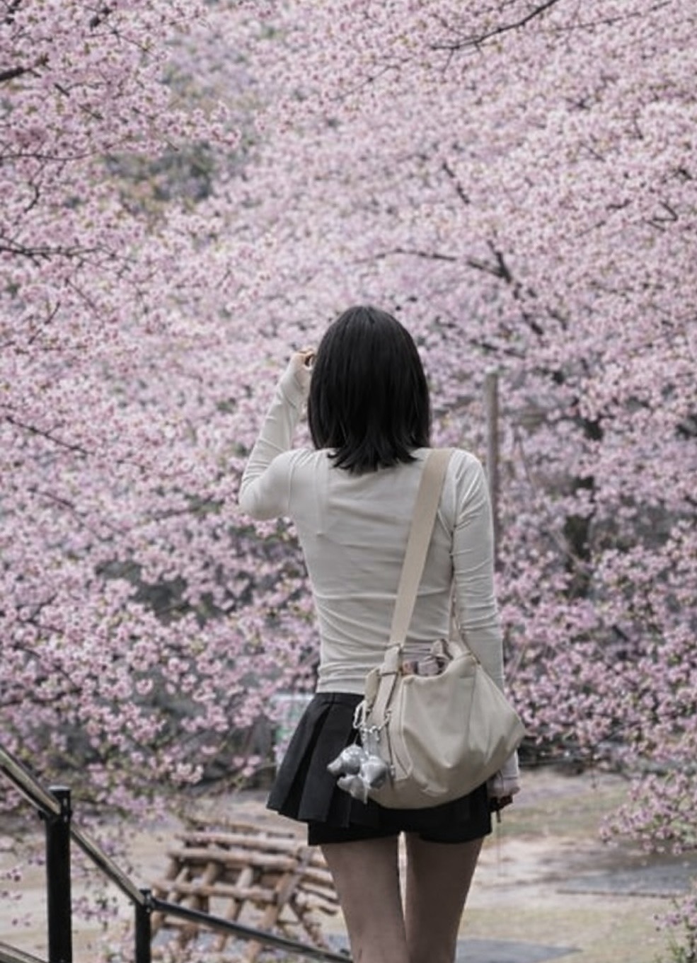 錦織　楓華
